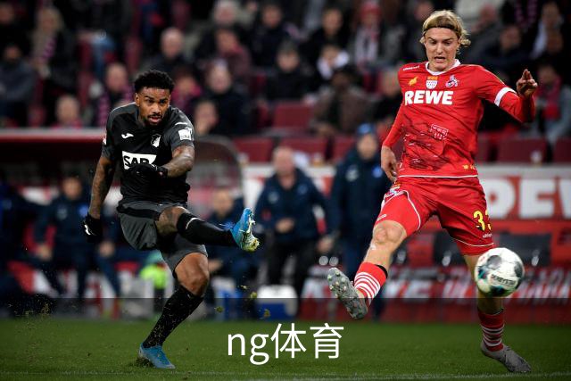 ng体育公司简介